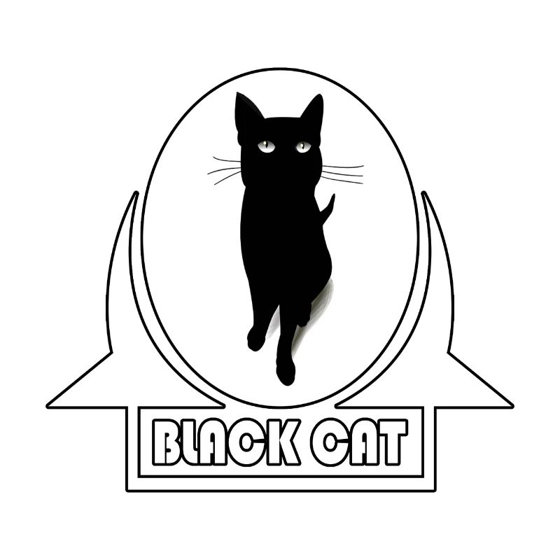 Chat noir chat noir