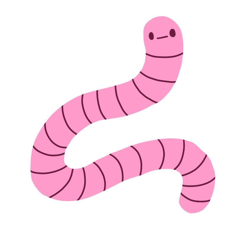 Regenwurm