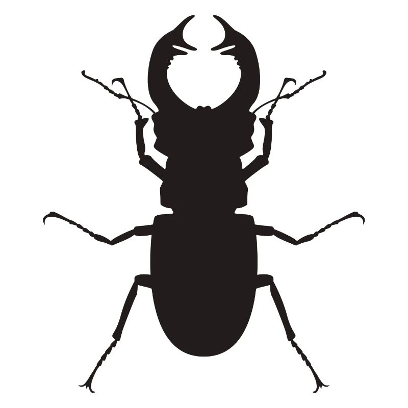 stag beetle