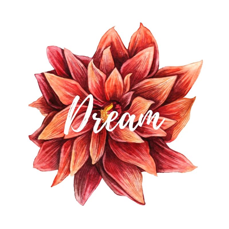 Dream