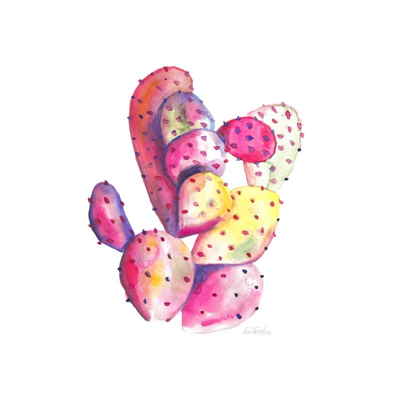 Kaktus