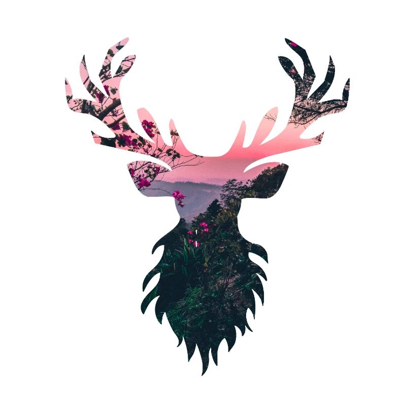 Deer stag