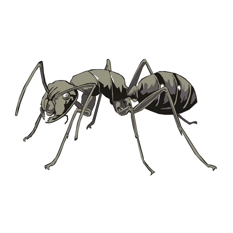 Aggro ant