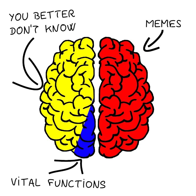 Brain - Gehirn - Memes
