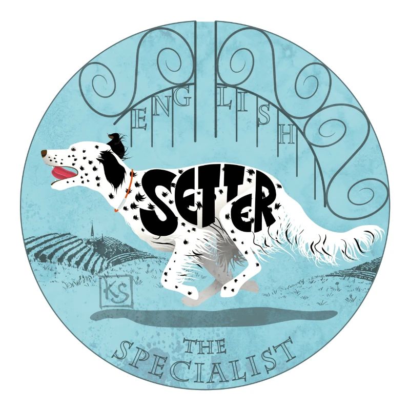 English Setter blue