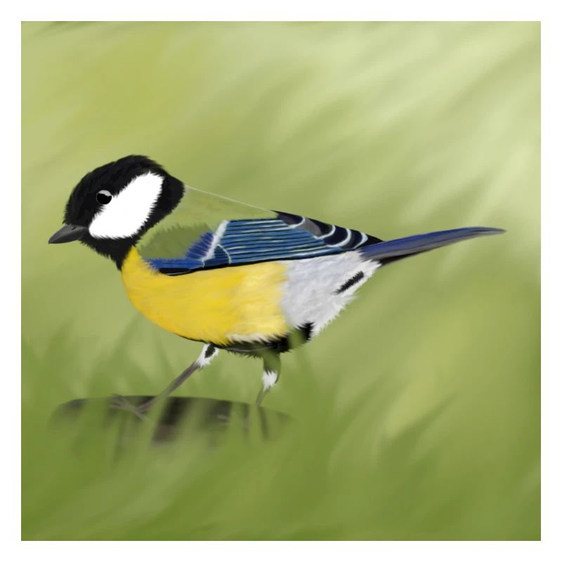 Tit
