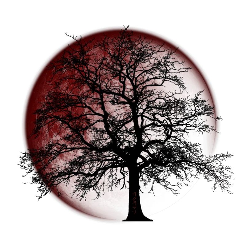 Blut Mond