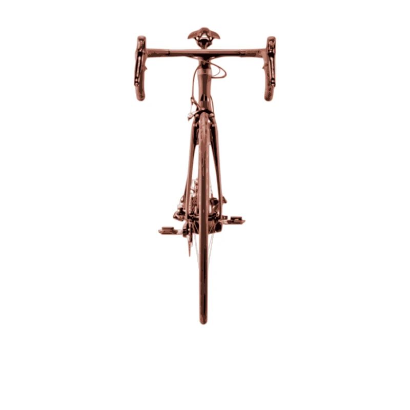 Devant de bicyclette rougeâtre devant