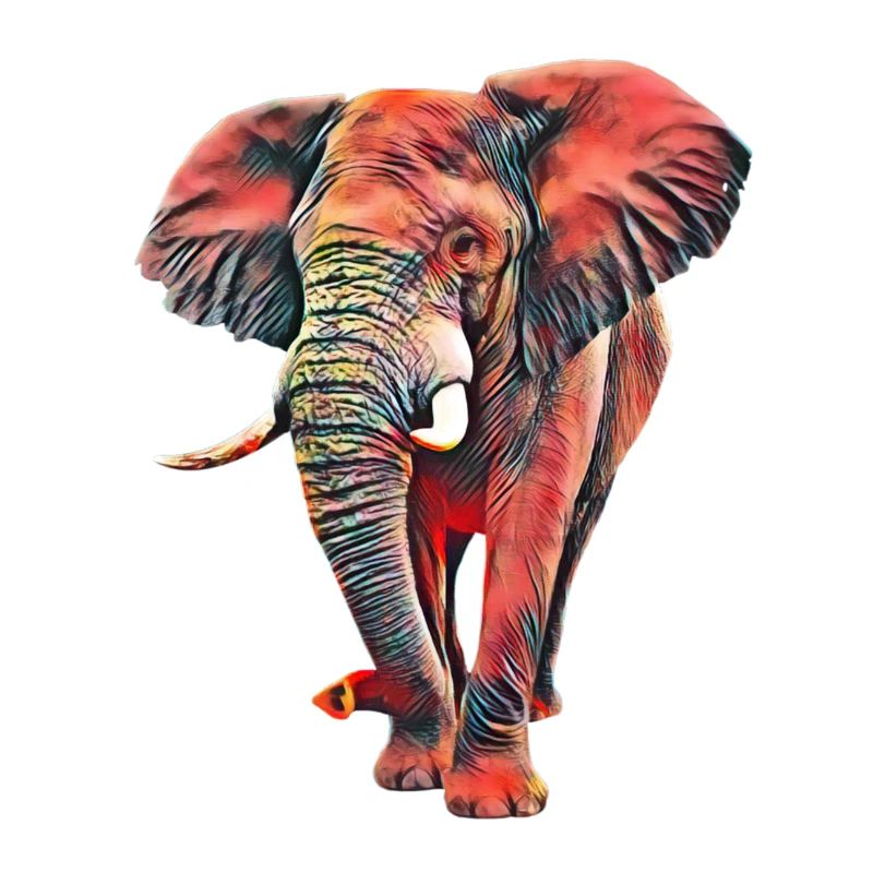 Elefant