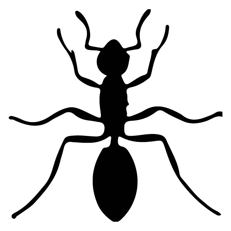 ant