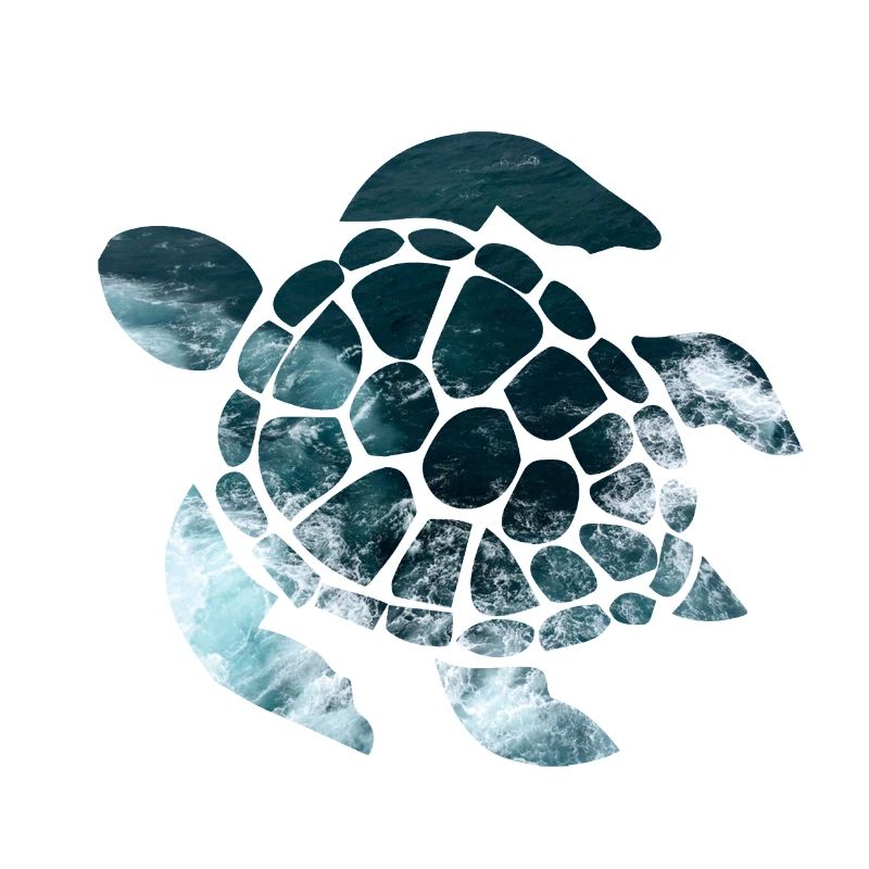 Tortue