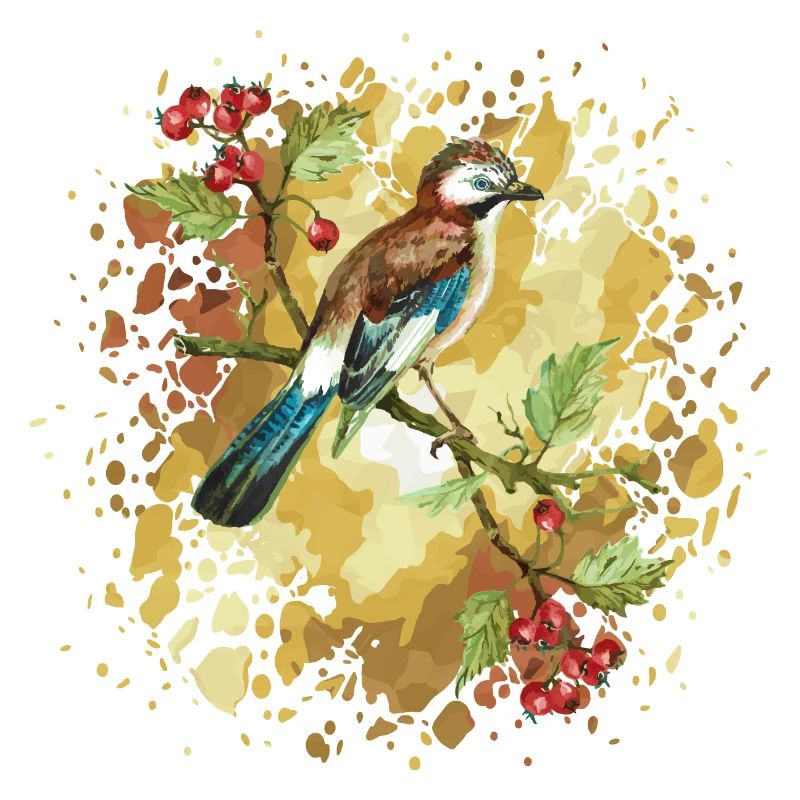 Vogelhäher