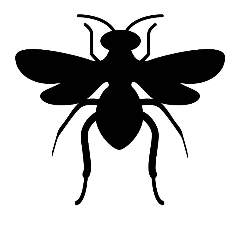 Black fly