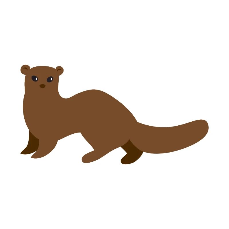 Brauner Mungo Wiesel oder Hermelin