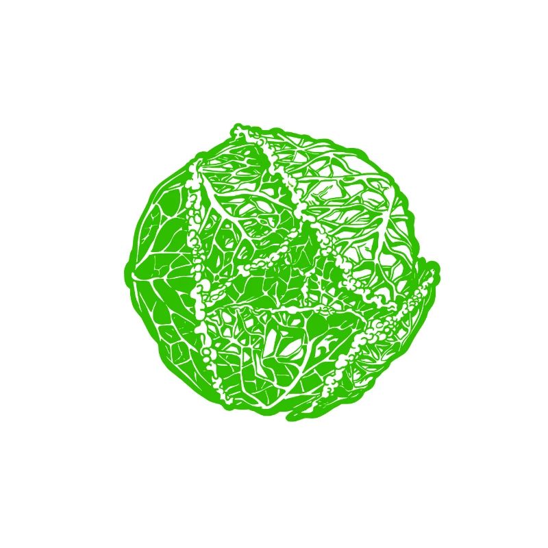Kohl