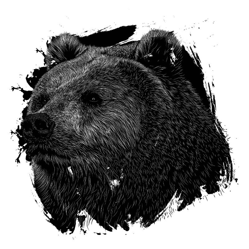 Bär Grizzly