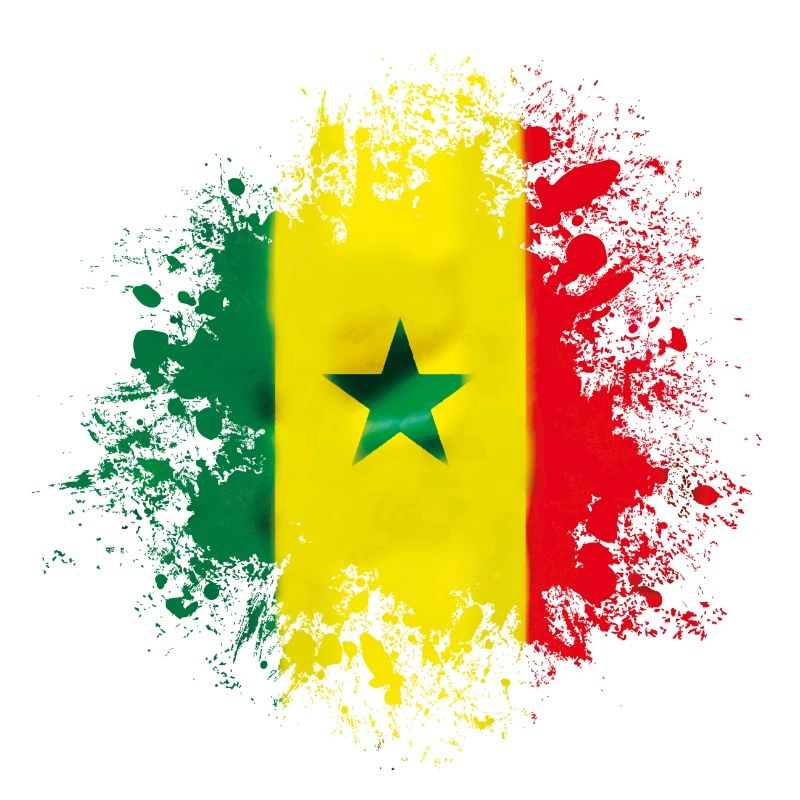 senegal flag design
