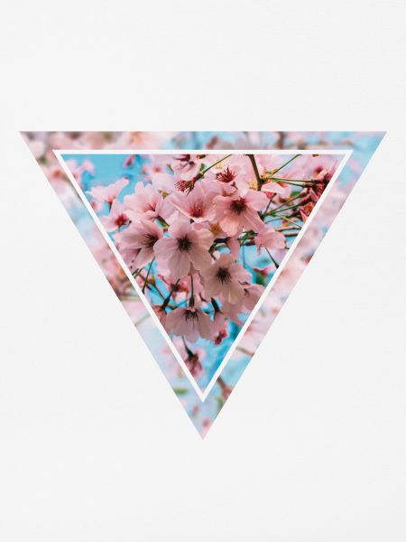 Kirschblüten-Dreieck