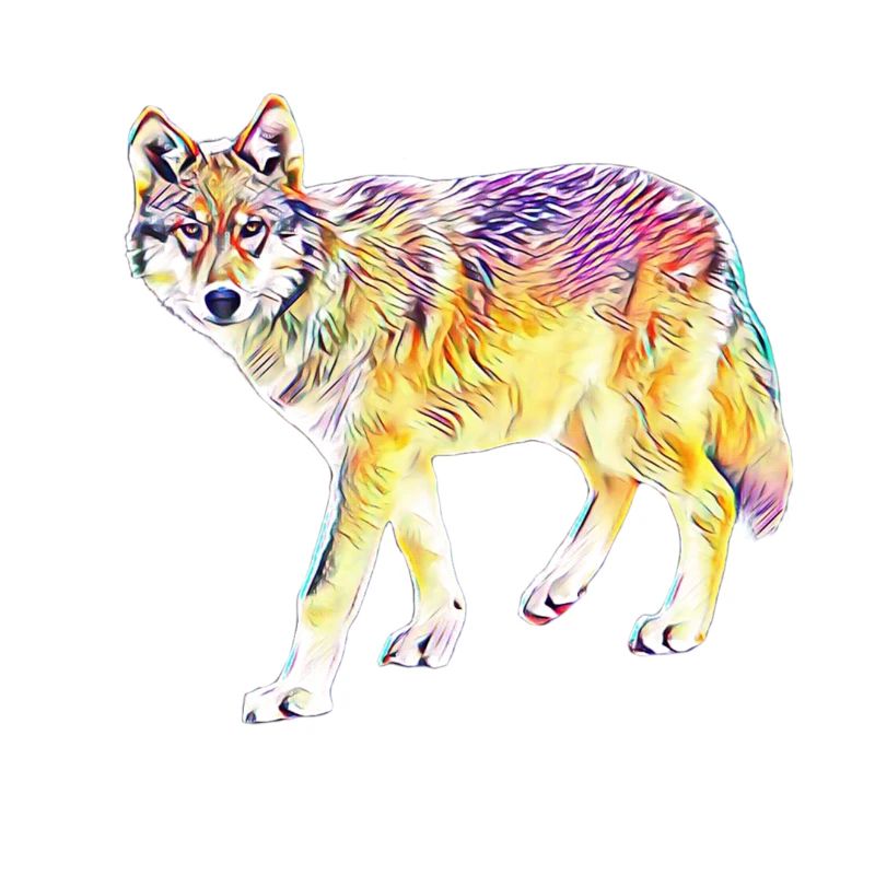 Wolf