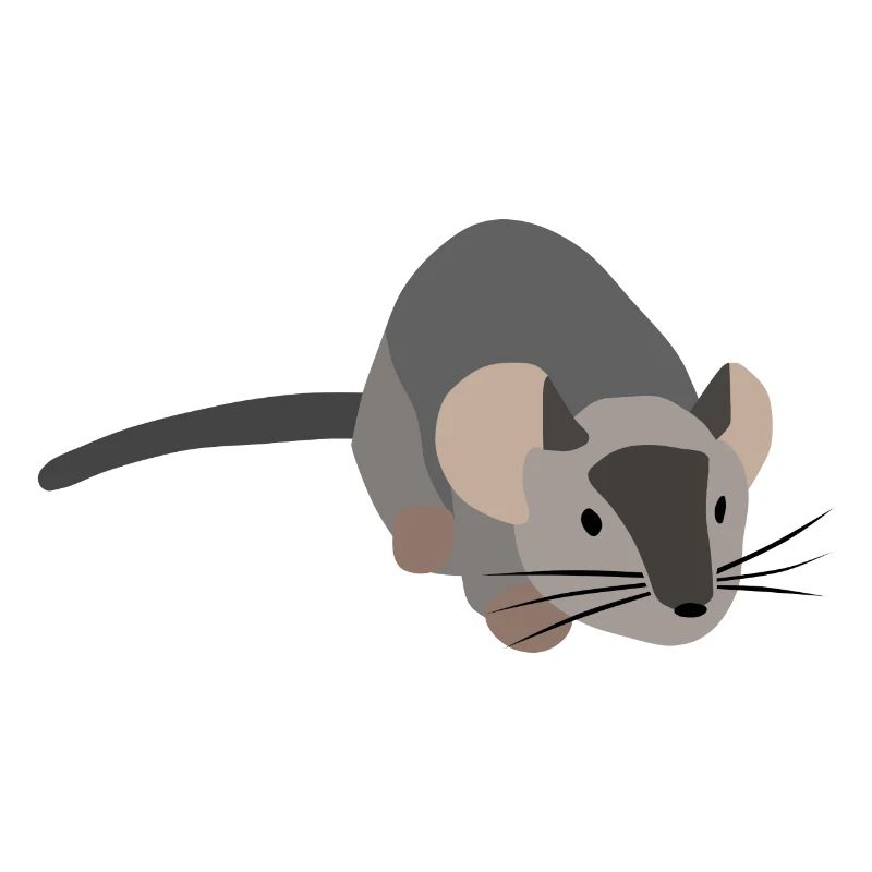 Graue Maus