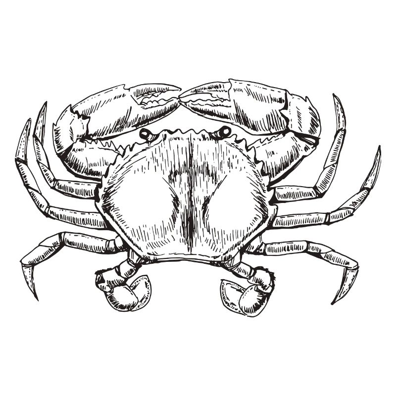 Krabbe
