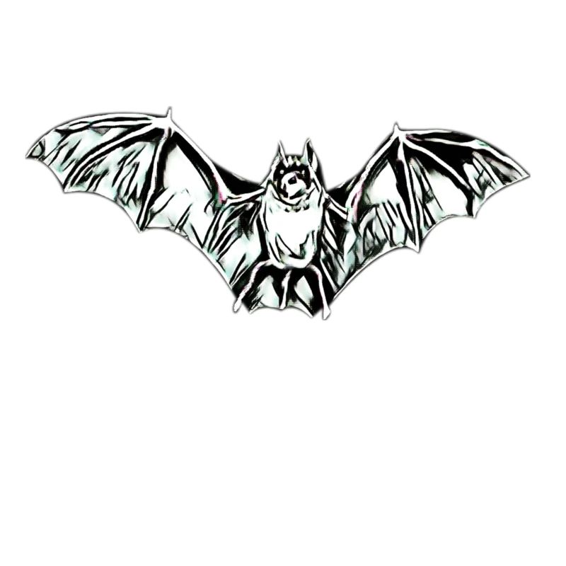 Fledermaus