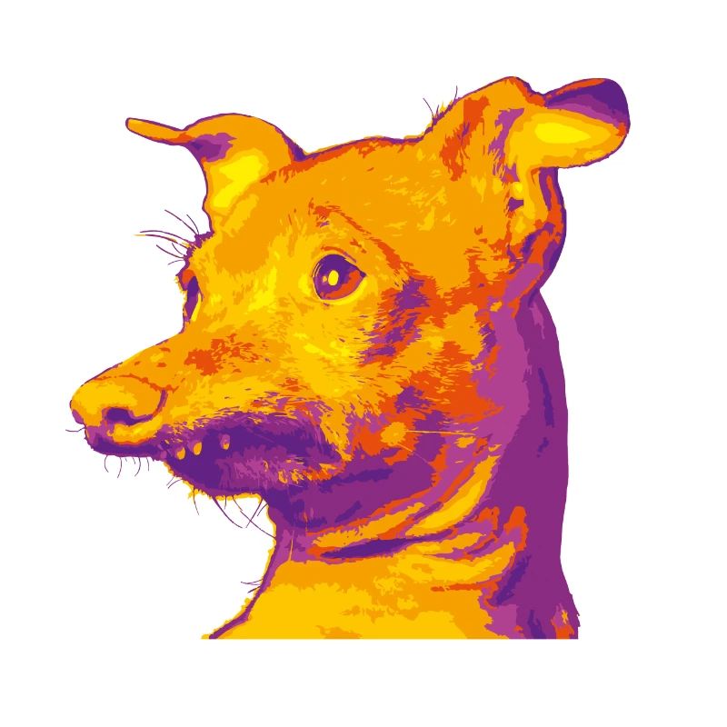 Mein Thunfischhund