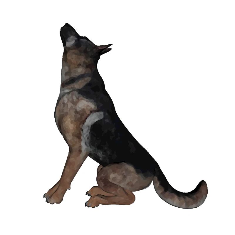 Schäferhund