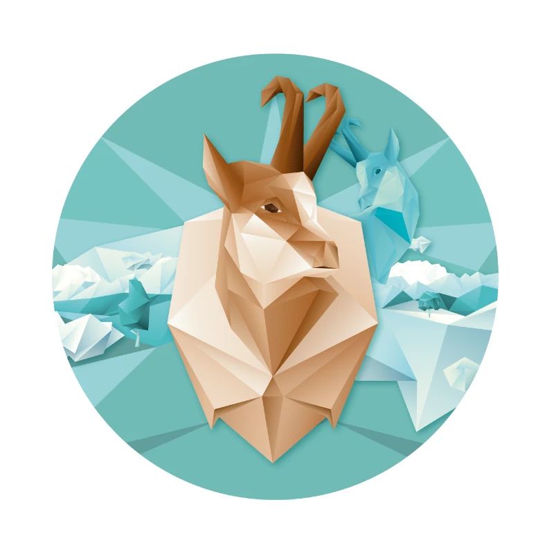 Gams Icon