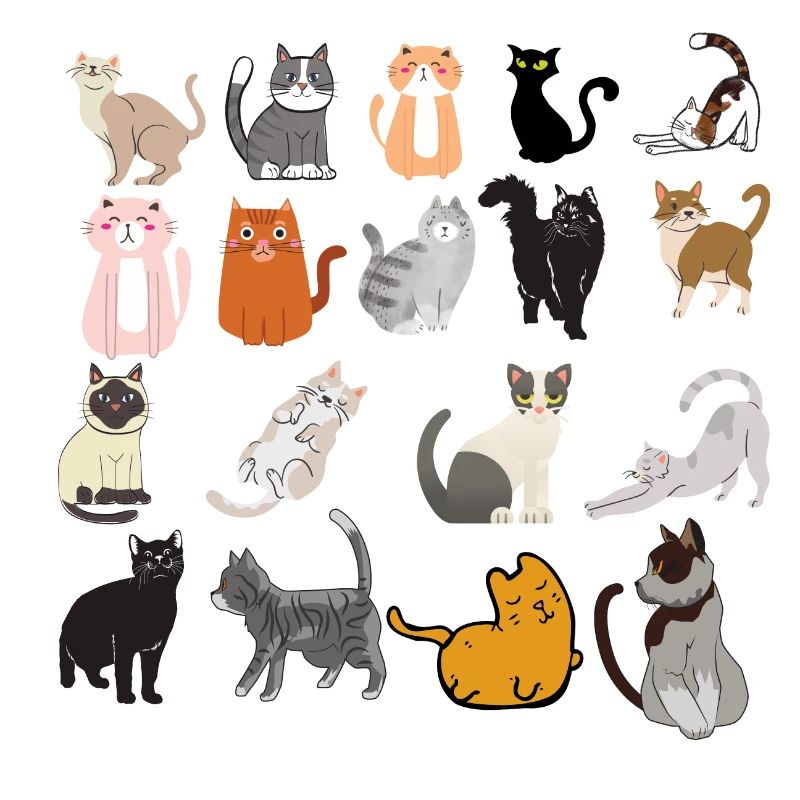 CATS