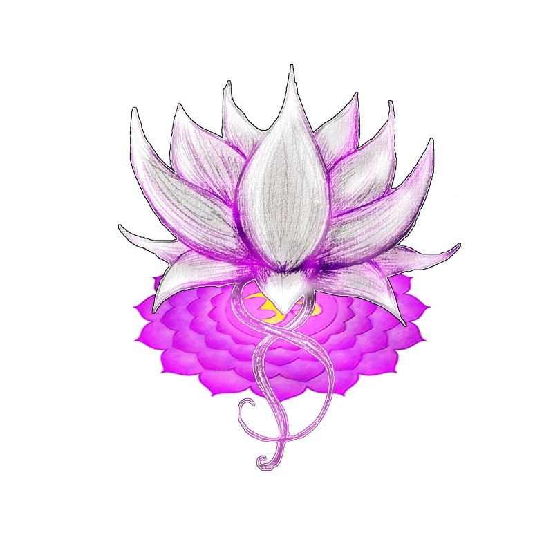 Lotus Kronenchakra