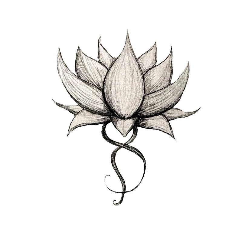 Lotus Original