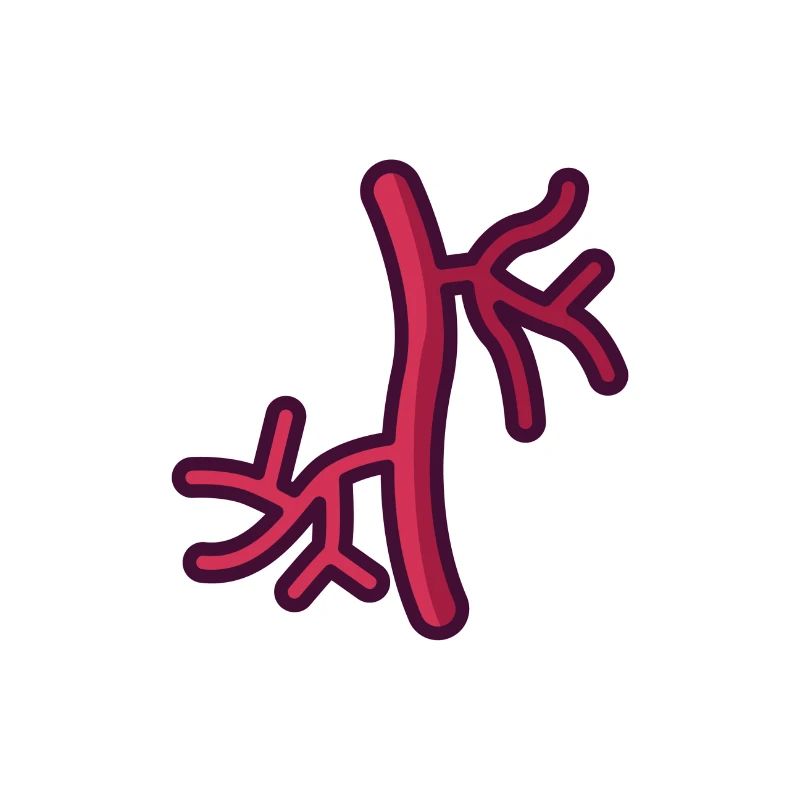 Arterie