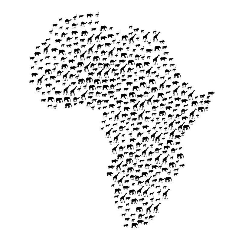 afrika