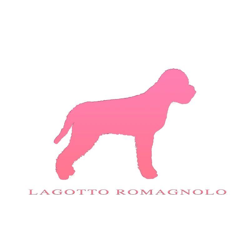 lagotto romagnolo