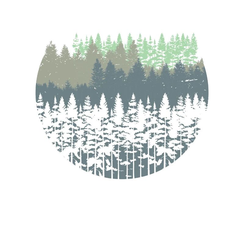 Natur Wald Bäume