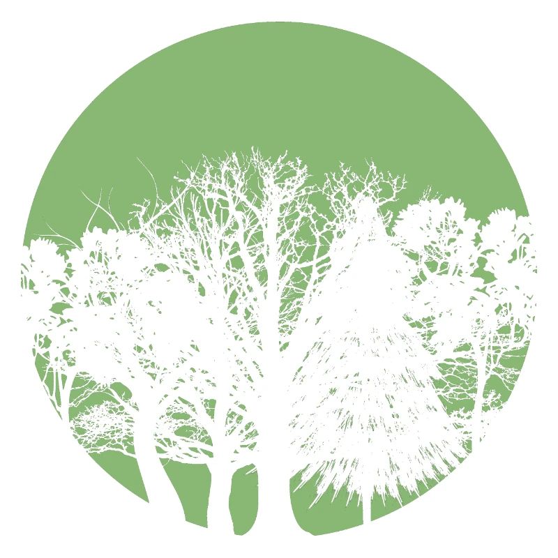 Kreis Wald