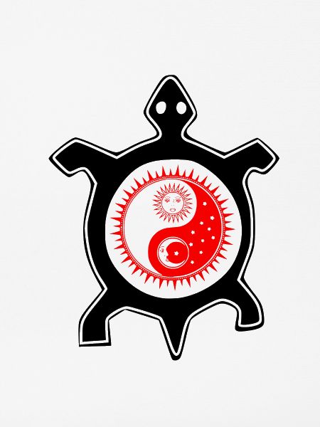 Turtle