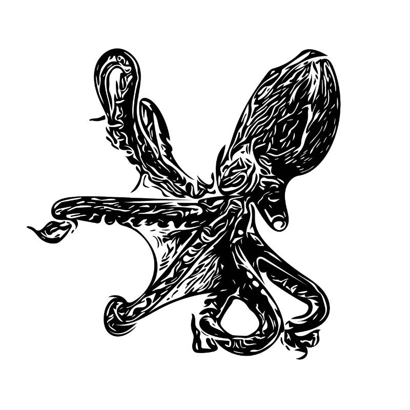 Krake - Oktopus