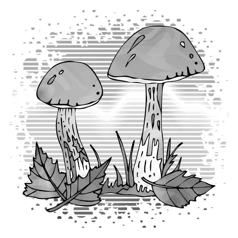 Pilze