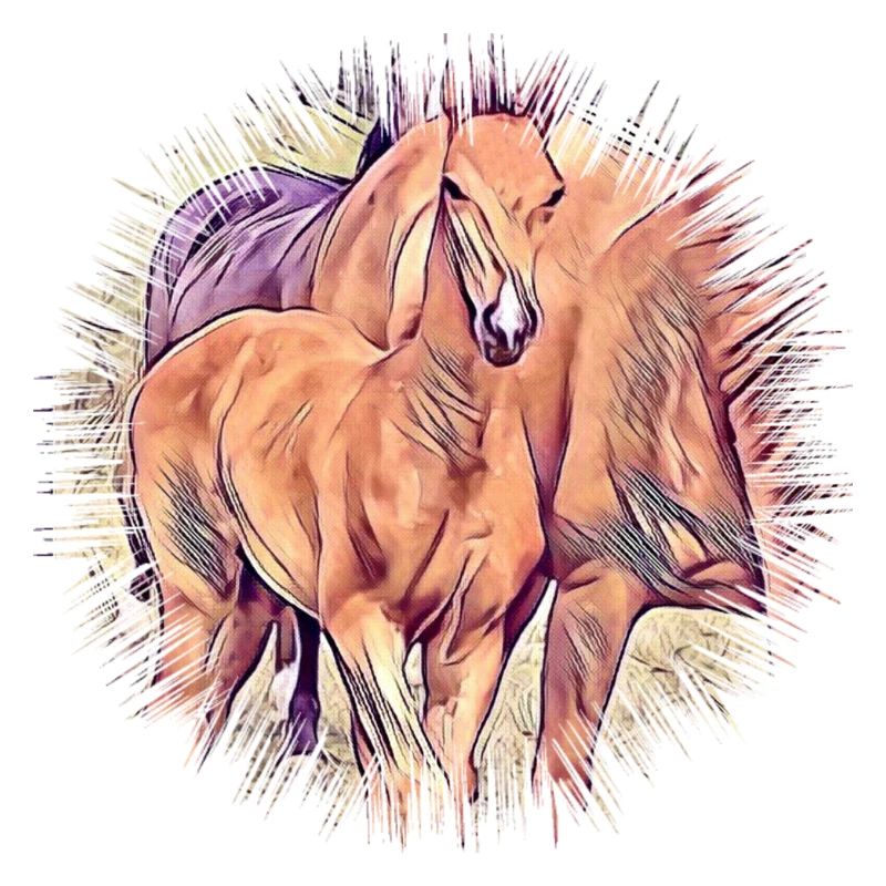 Pferd