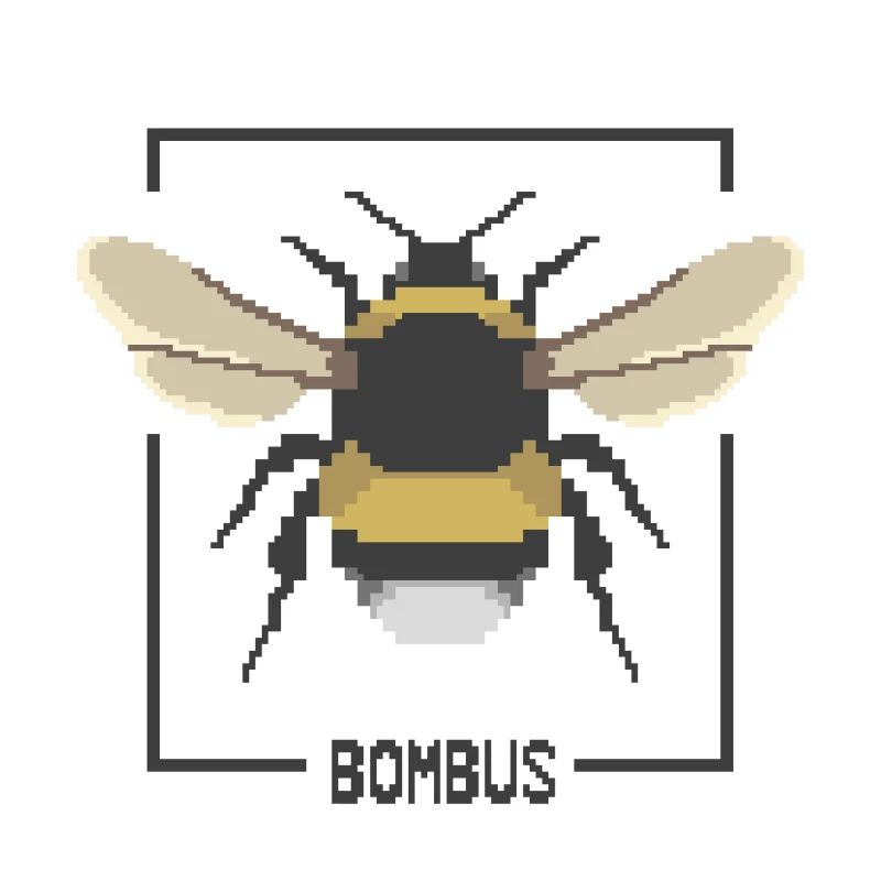 Hummel – Bombus