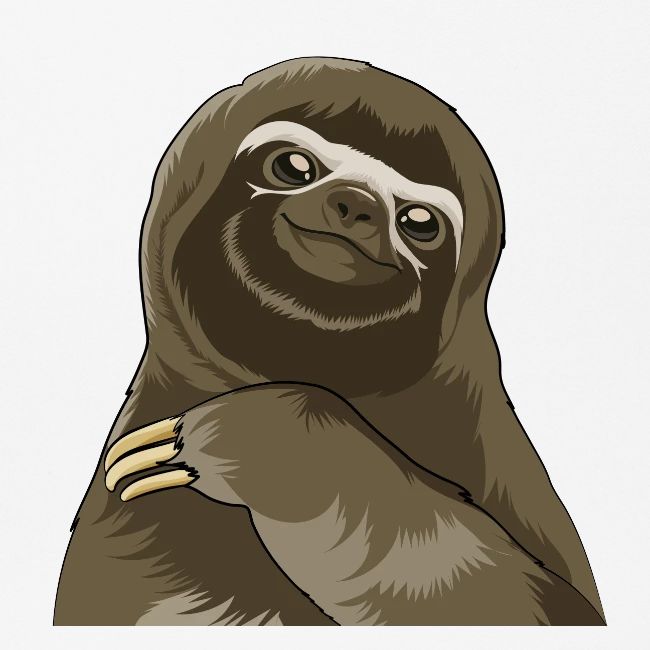 Sloth face