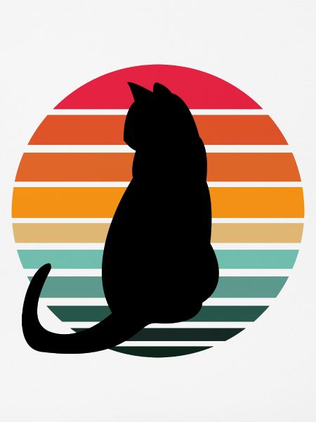 Katze Sunset
