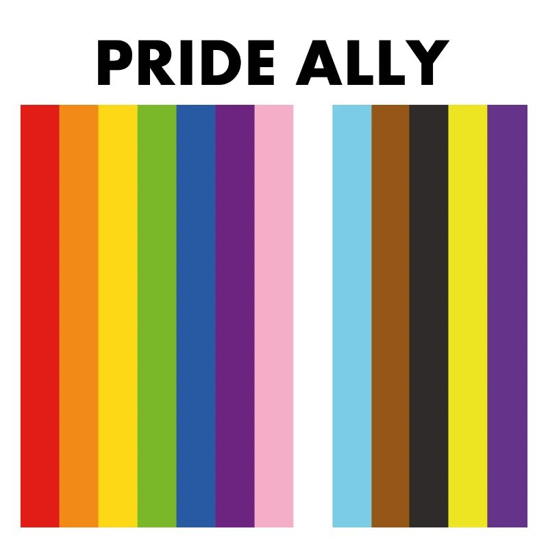 Pride Allyship Gay Pride Ally drapeau inclusif