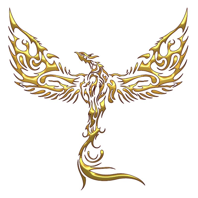 Aigles-Aigles-Aigles-Aigles-Oiseau-Oiseau
