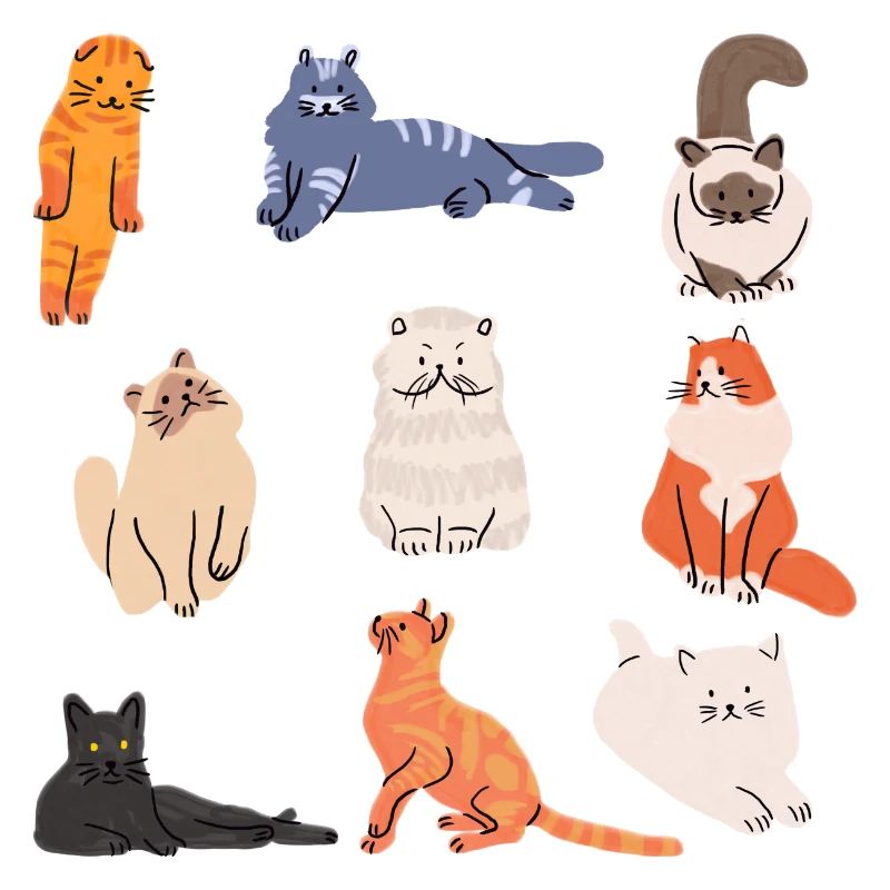 Cats
