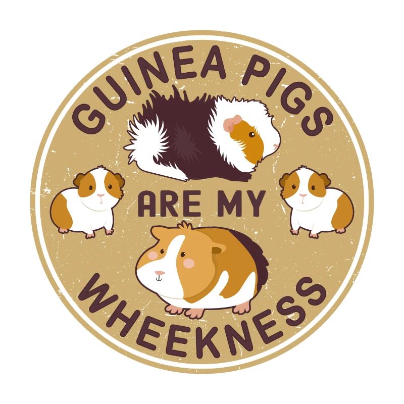 Lustiges Meerschweinchen Geschenk
