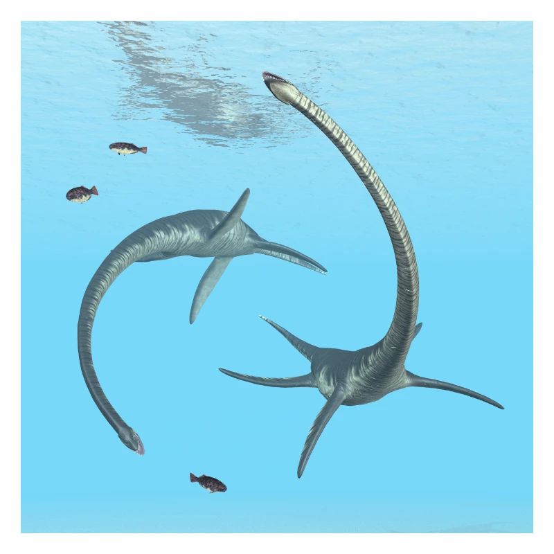 Plesiosaurier Elasmosaurus