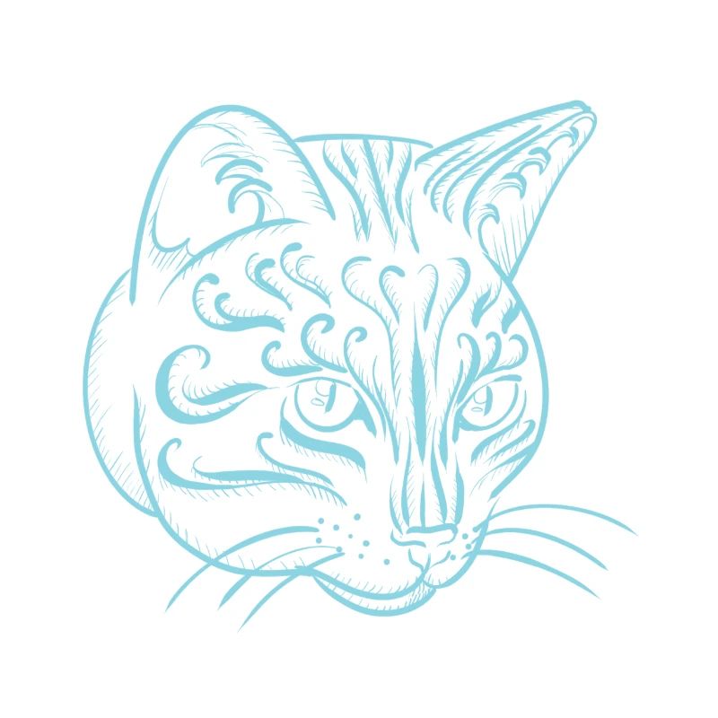 Katze